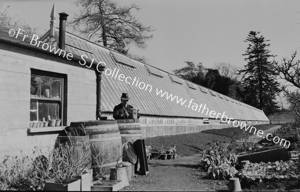 IN THE GARDEN FERN HOUSES